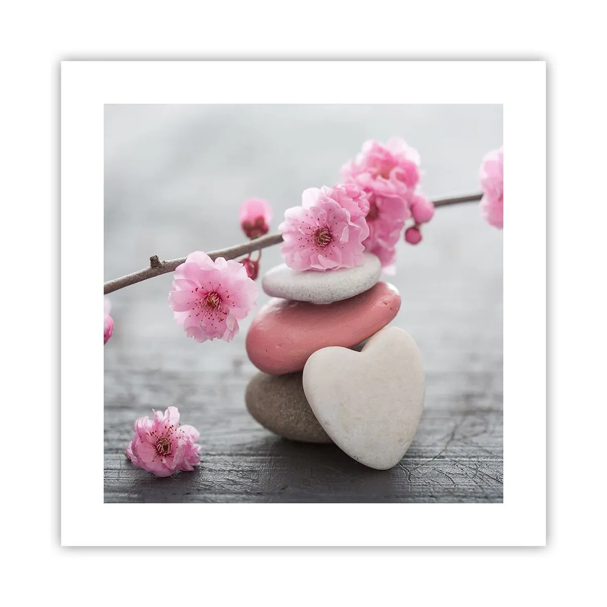 Affiche - Poster - Le bonheur avec une fleur de cerisier - 40x40 cm