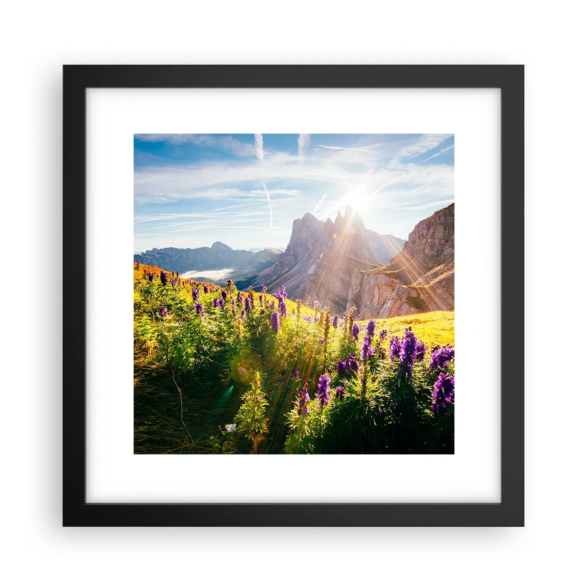 Affiche dans un cadre noir - Poster - La vie secrète des herbes - 30x30 cm