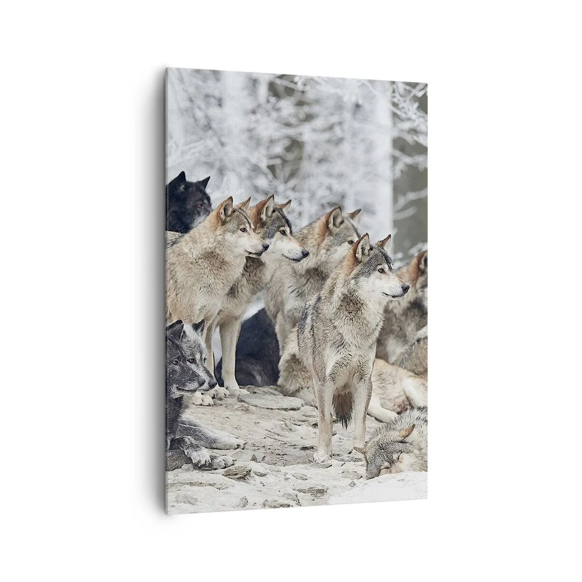 Impression sur toile - Image sur toile - Une meute de loups dans la forêt d'hiver - 80x120cm - Famille et amis - Décoration murale moderne pour le salon et la chambre ARTTOR