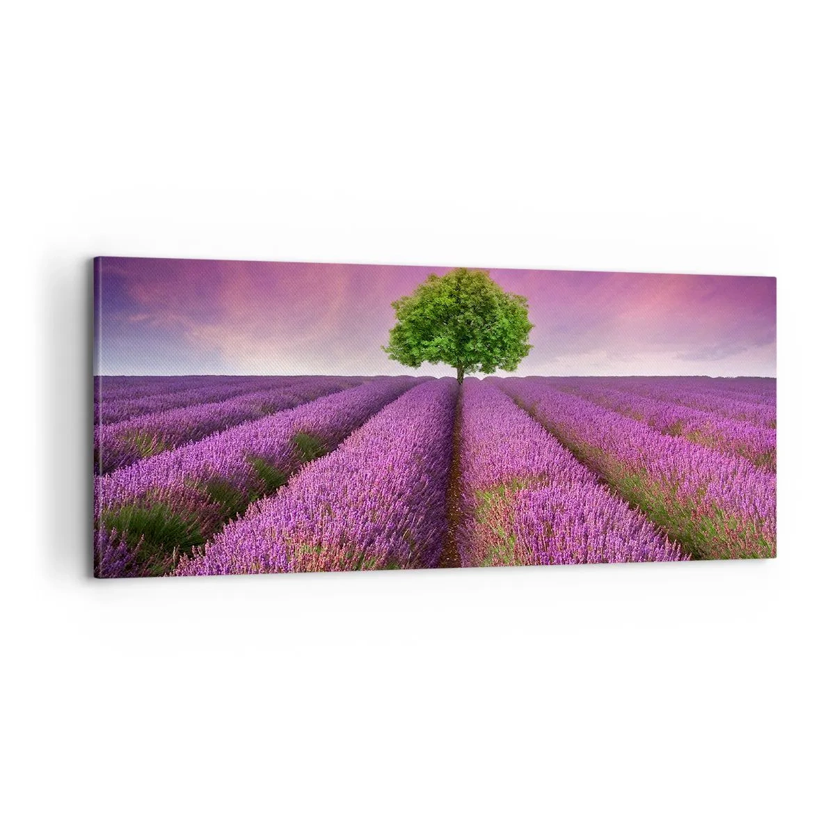 Impression sur toile - Image sur toile - Dans un champs de lavande - 100x40 cm