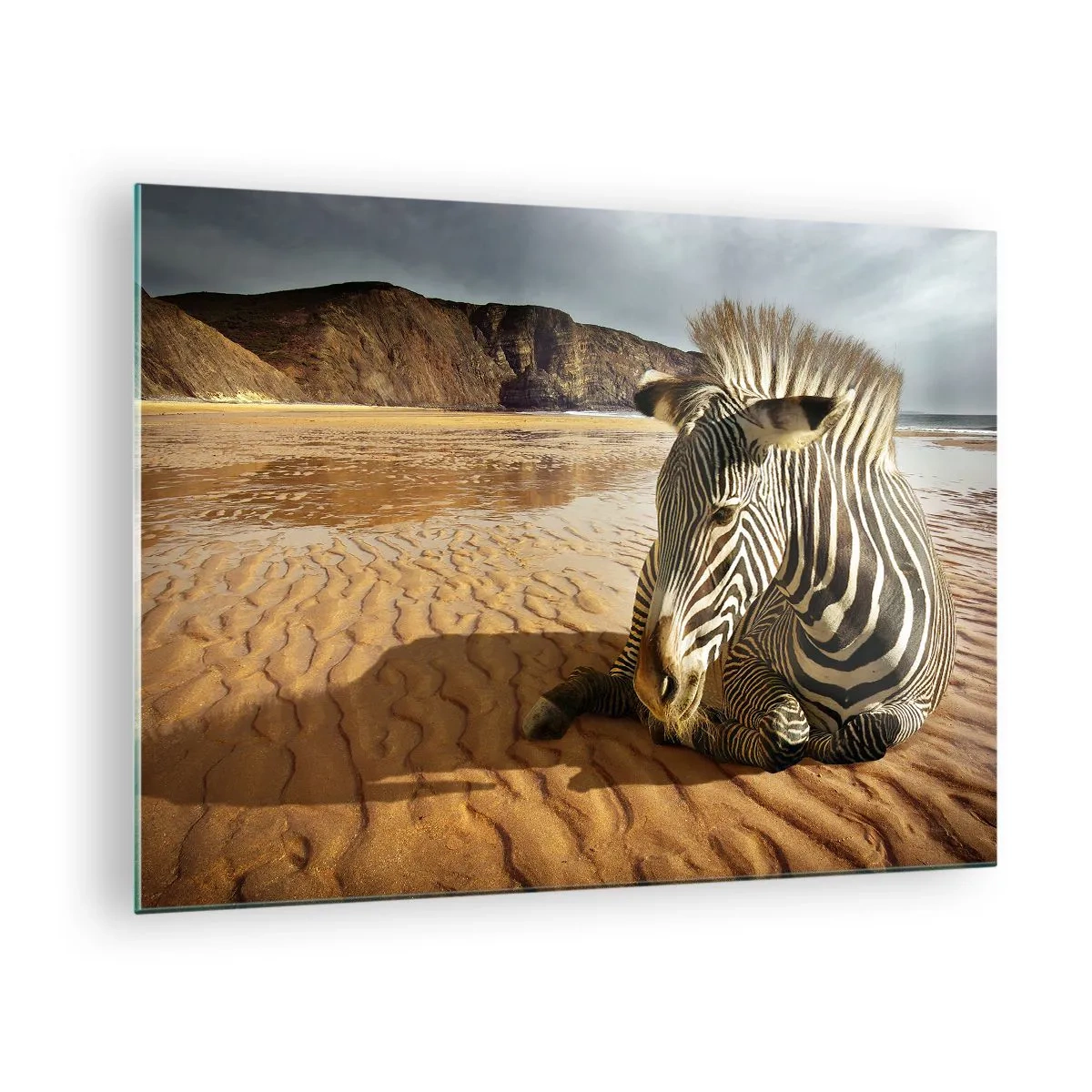 Impression sur verre - Image sur verre - Un zèbre se reposant sur la plage au coucher du soleil - 70x50cm - On va bien ensemble - Décoration murale moderne pour le salon et la chambre ARTTOR