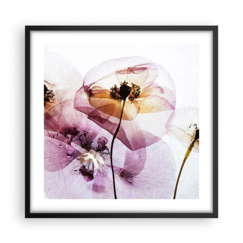 Affiche dans un cadre noir - Poster - Corps de fleurs transparente - 50x50 cm