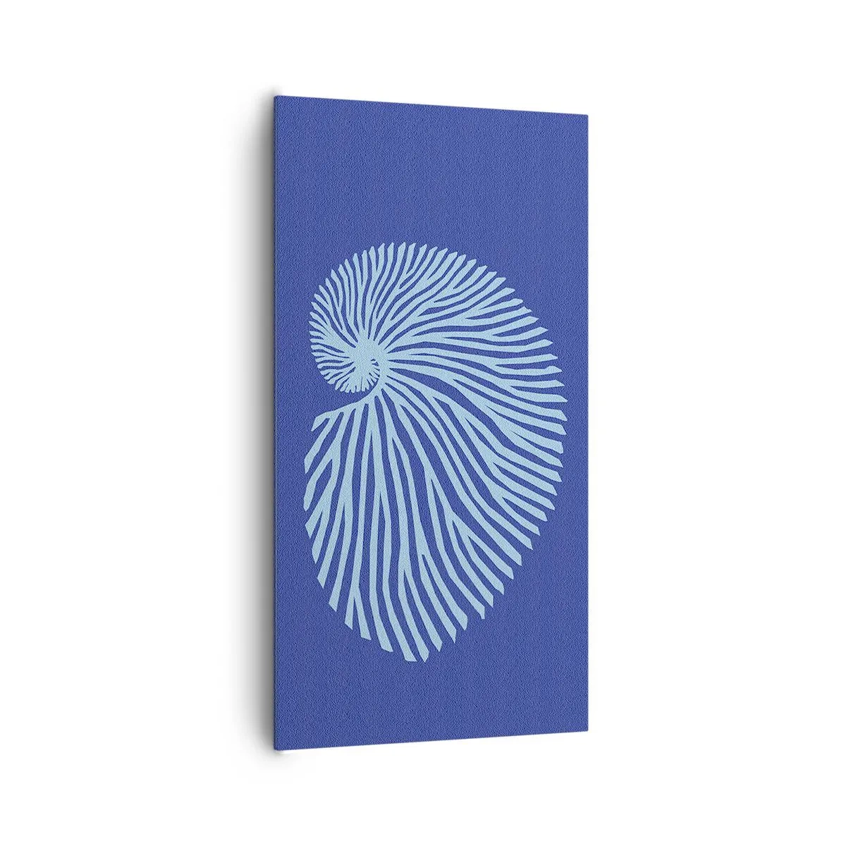 Impression sur toile - Image sur toile - La naissance de la coquille - 65x120 cm