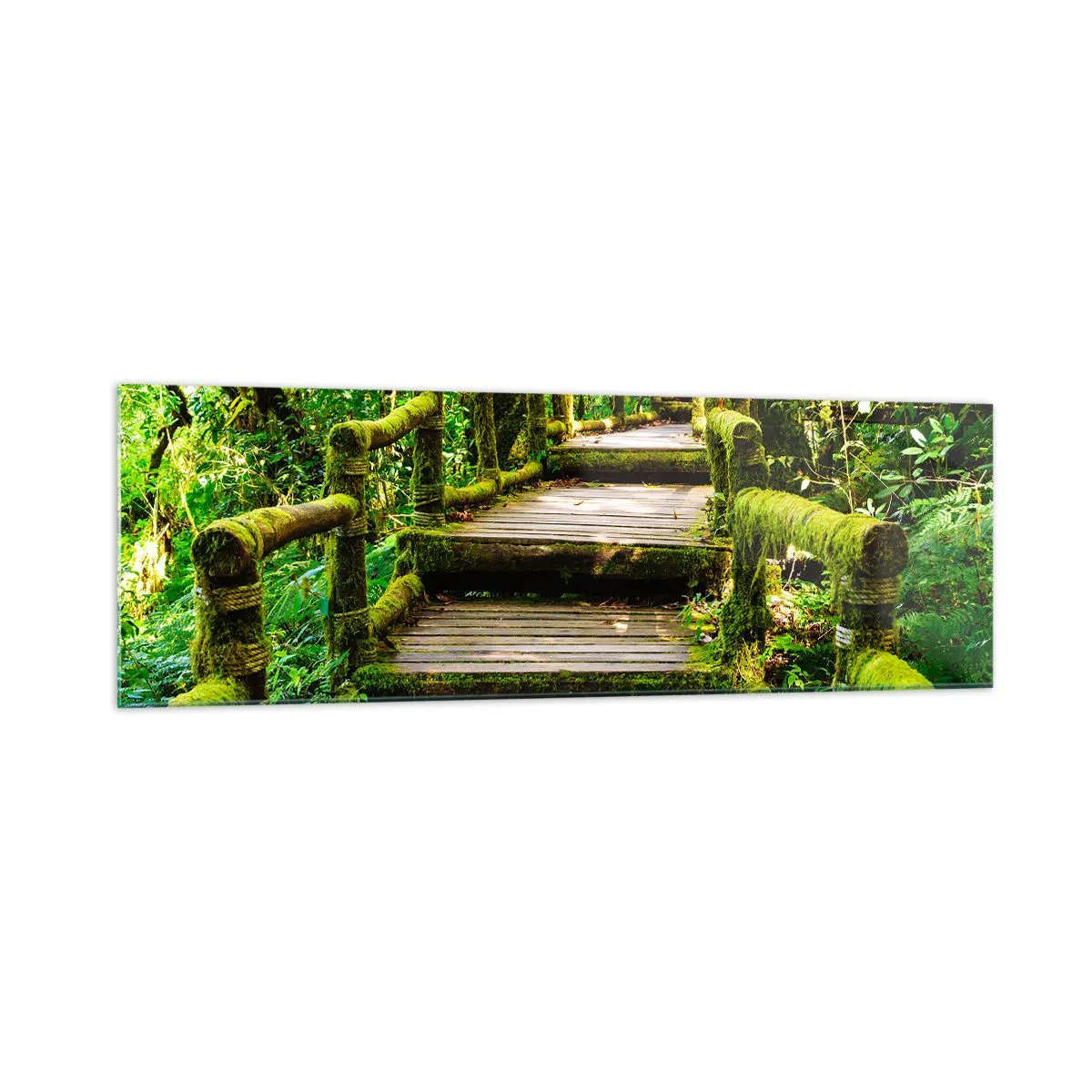 Impression sur verre - Image sur verre - Un pont en bois recouvert de mousse dans une forêt tropicale - 160x50cm - Un couloir de verdure - Décoration murale moderne pour le salon et la chambre ARTTOR