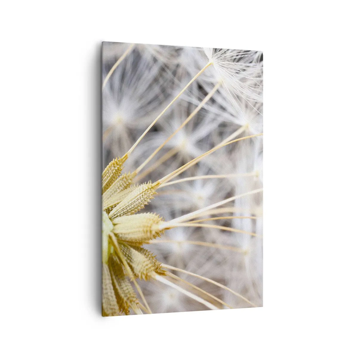 Impression sur toile - Image sur toile - Photographie macro d'un pissenlit aux graines délicates - 80x120cm - Juste avant le départ - Décoration murale moderne pour le salon et la chambre ARTTOR