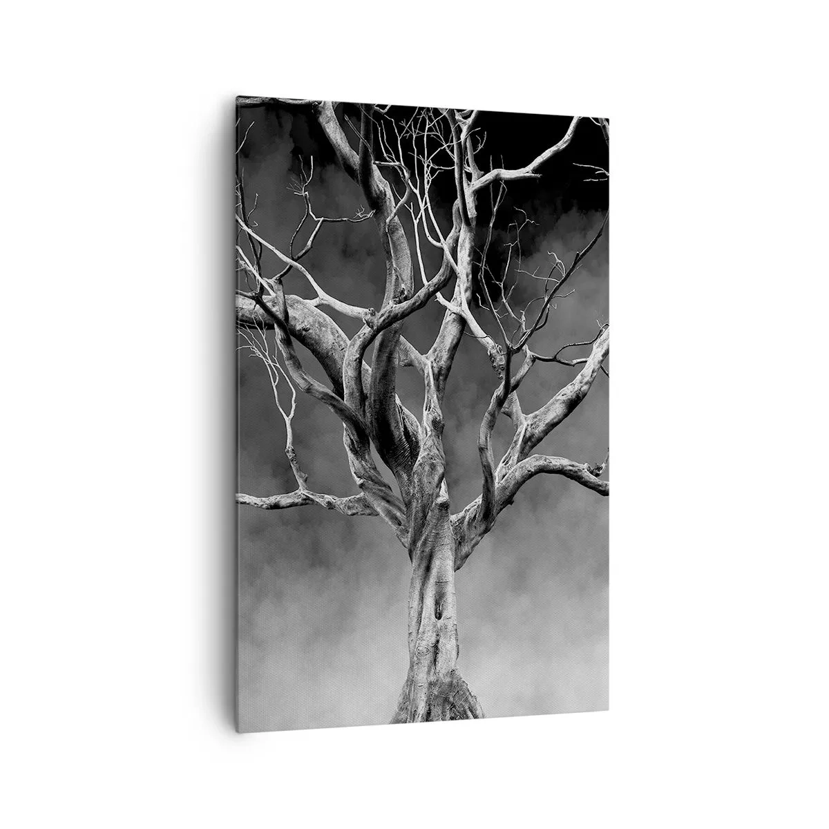 Impression sur toile - Image sur toile - Un arbre sec en noir et blanc contre le brouillard - 80x120cm - Primordial et sacré - Décoration murale moderne pour le salon et la chambre ARTTOR