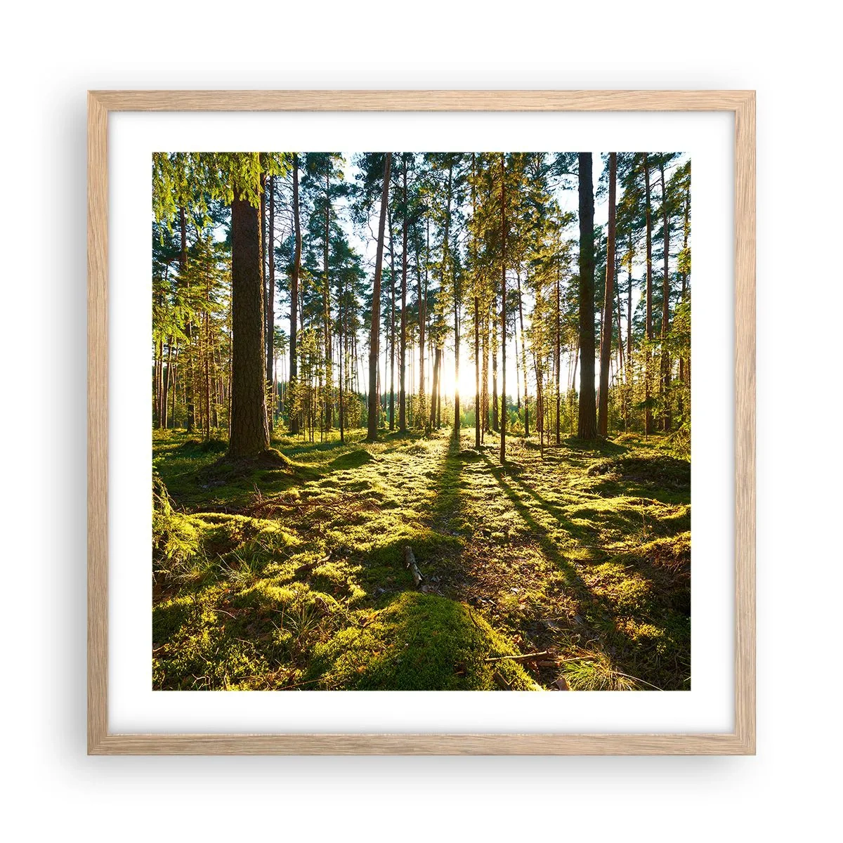 Affiche dans un chêne clair - Poster - … Derrière les sept forêts - 50x50 cm
