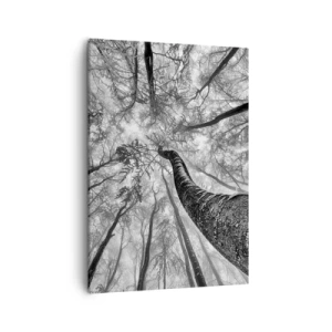 Impression sur toile - Image sur toile - Perspective d'arbres dans une forêt vue d'en bas en nuances de gris - 50x70cm - Course vers la lumière - Décoration murale moderne pour le salon et la chambre ARTTOR