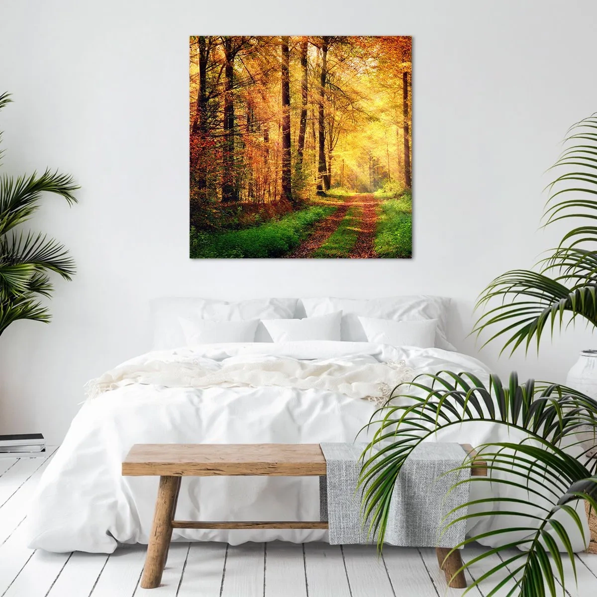 Impression sur toile - Image sur toile - Silence d'or en forêt - 40x40 cm