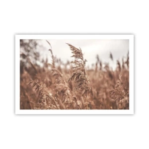 Affiche - Poster - C'est déjà l'automne dans les champs - 91x61 cm