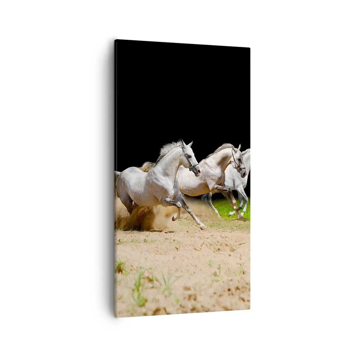 Impression sur toile - Image sur toile - Trois Grâces - 55x100 cm