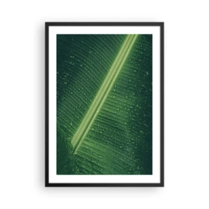 Affiche dans un cadre noir - Poster - Gros plan d'une feuille verte avec des gouttes d'eau - 50x70cm - Structure de vert - Décoration murale moderne pour le salon et la chambre ARTTOR