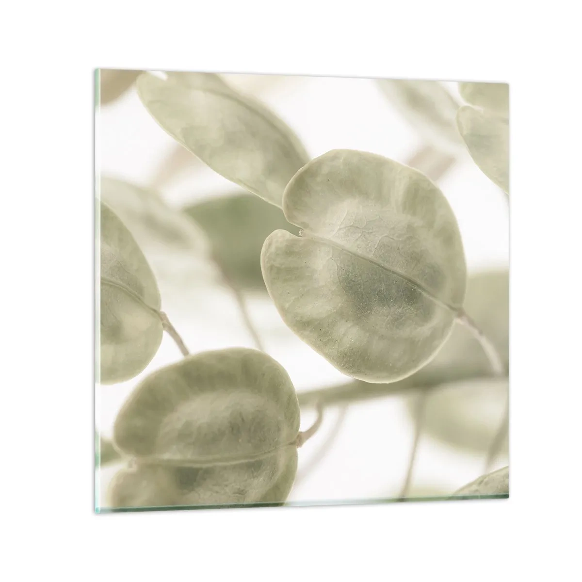 Impression sur verre - Image sur verre - Au commencement il y avait des feuilles... - 50x50 cm