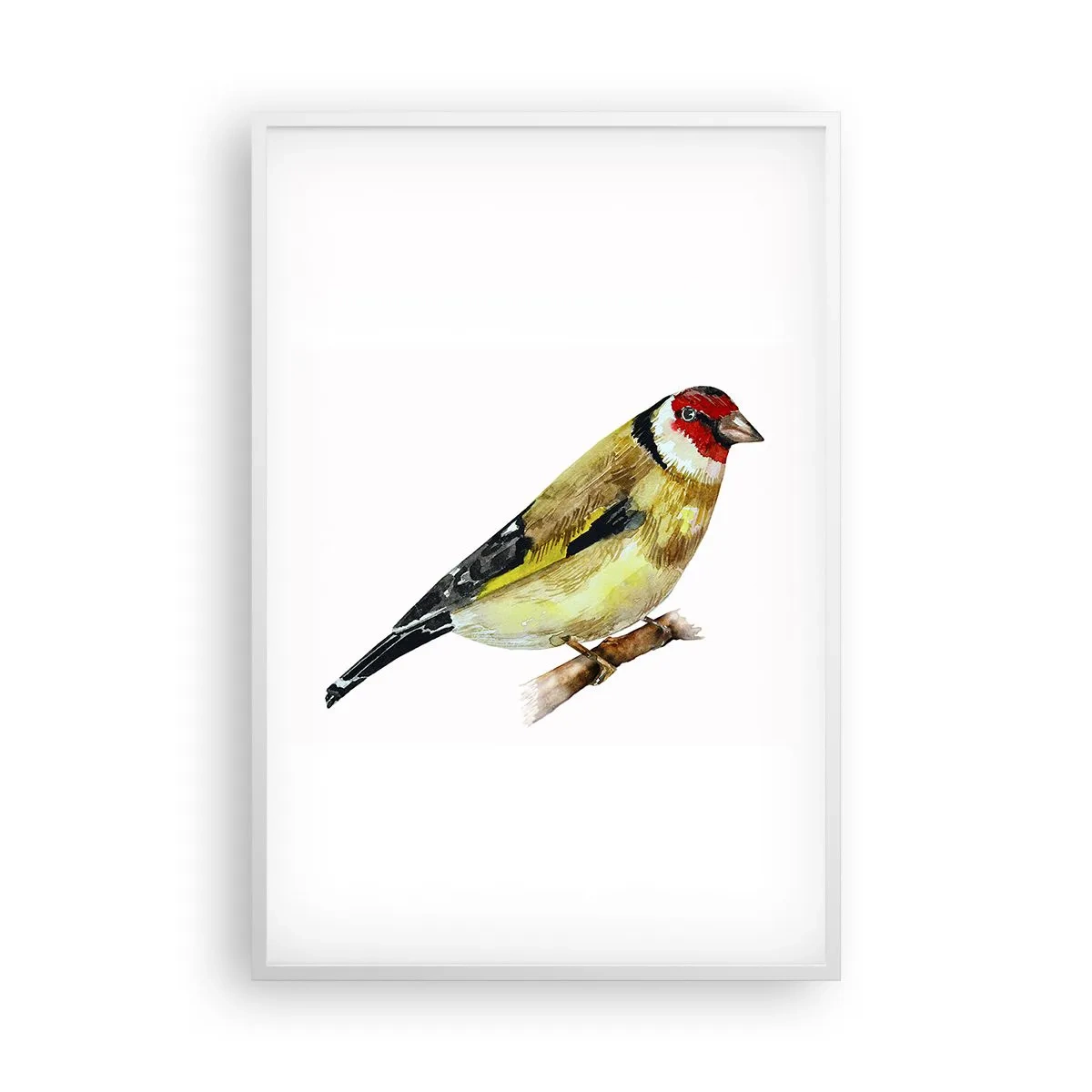 Affiche dans un cadre blanc - Poster - Portrait d'oiseau - 61x91 cm