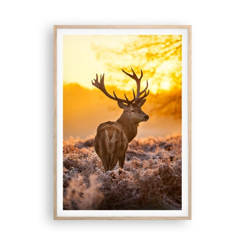 Affiche dans un chêne clair - Poster - Roi de la forêt automnal - 70x100 cm