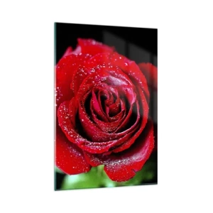 Impression sur verre - Image sur verre - Une rose rouge couverte de gouttes de rosée sur fond noir. - 80x120cm - C'est ça l'amour - Décoration murale moderne pour le salon et la chambre ARTTOR