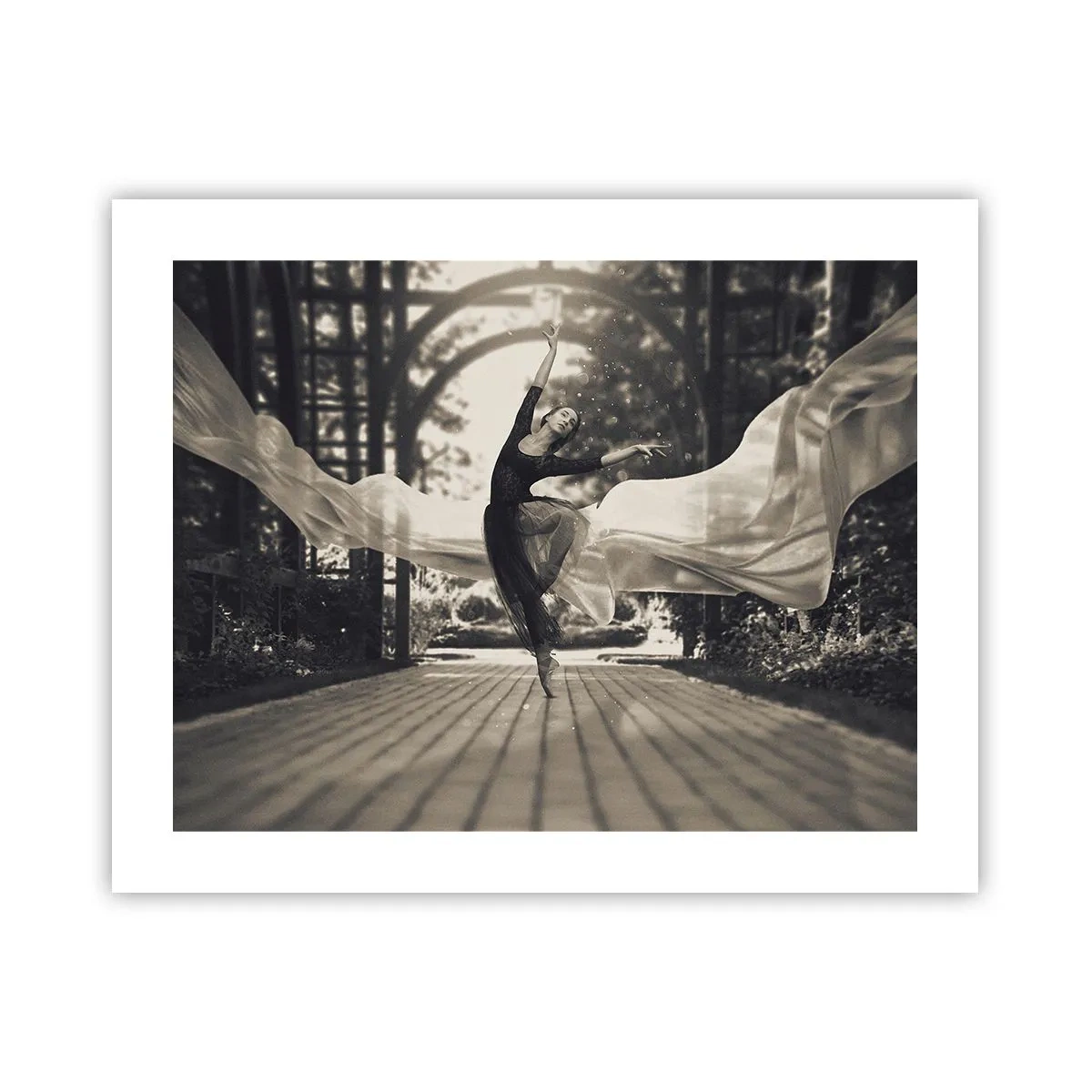 Affiche - Poster - La danse de l'esprit jardin - 50x40 cm