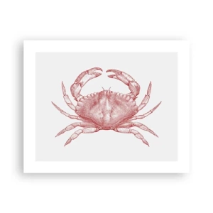 Affiche - Poster - Le crabe des crabes - 50x40 cm