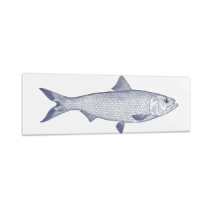 Impression sur verre - Image sur verre - Illustration d'un poisson dans des tons de bleu sur fond clair - 160x50cm - Salutations des mers du nord - Décoration murale moderne pour le salon et la chambre ARTTOR