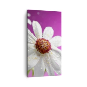 Impression sur toile - Image sur toile - Modeste dans sa beauté - 45x80 cm