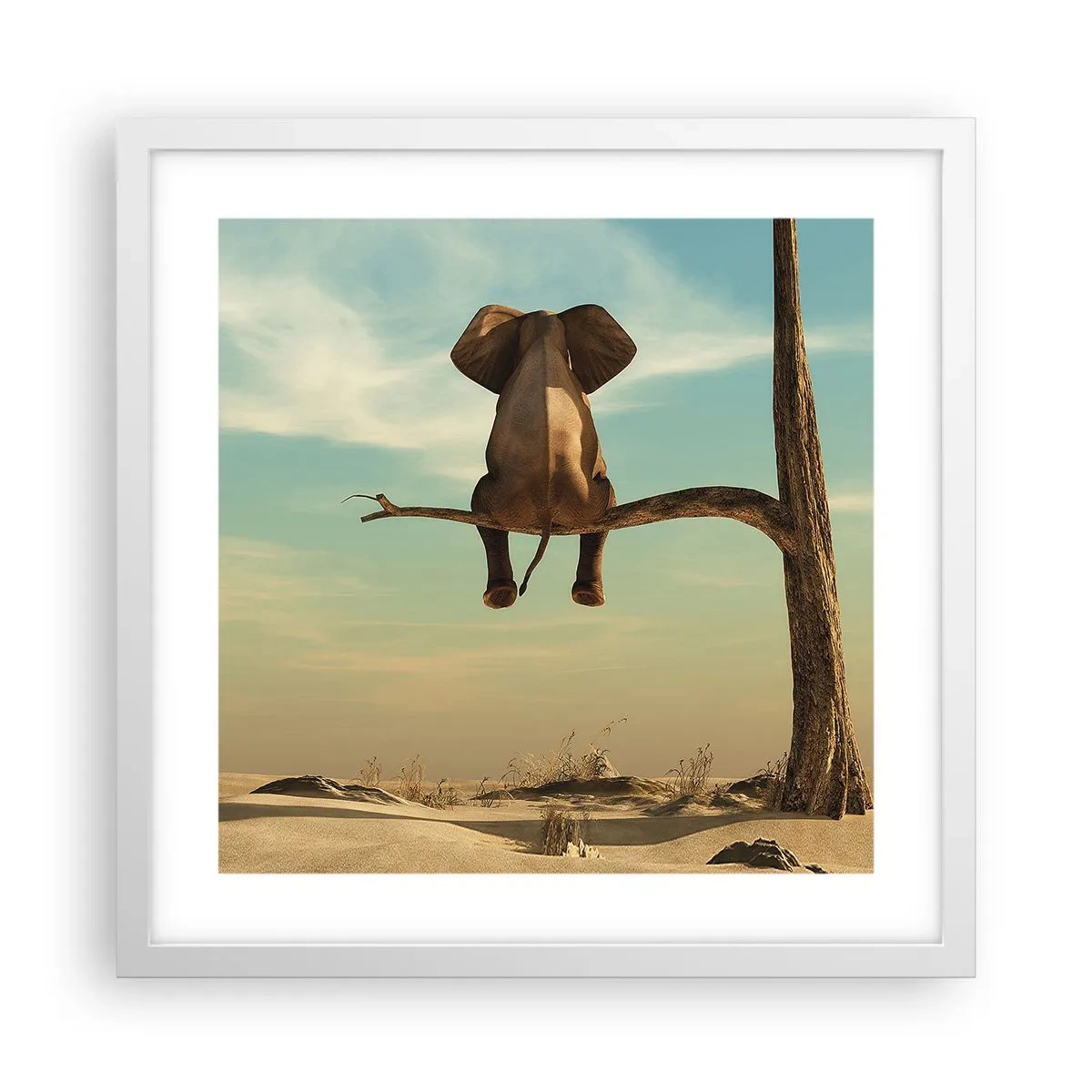 Affiche dans un cadre blanc - Poster - Nouveau point de vue - 40x40 cm