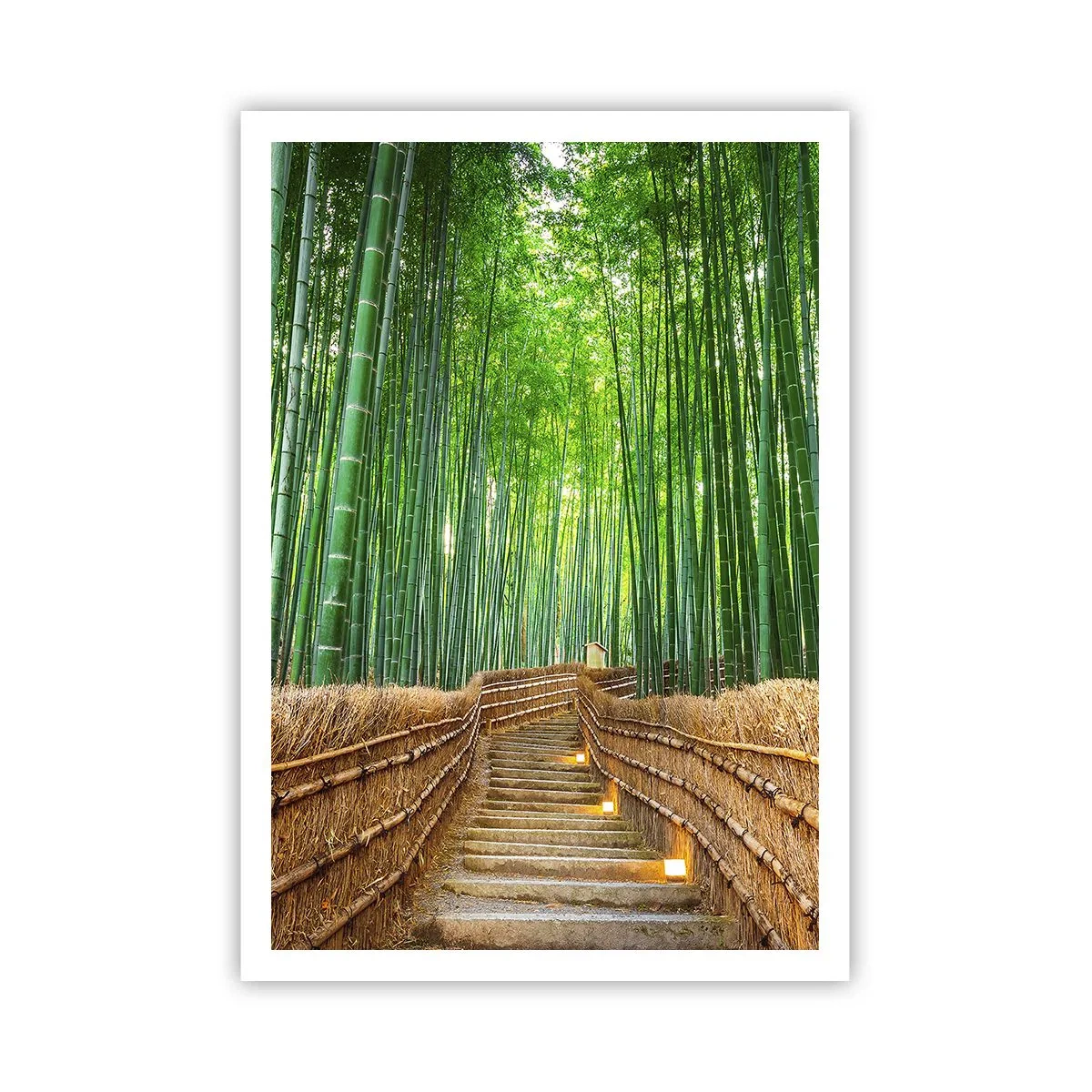 Affiche - Poster - L'essence de la nature asiatique - 70x100 cm