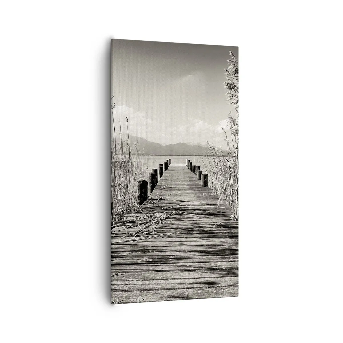 Impression sur toile - Image sur toile - Dans le calme de l'herbe - 65x120 cm