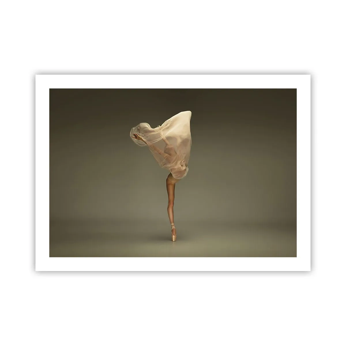 Affiche - Poster - Il va bientôt s'envoler - 70x50 cm