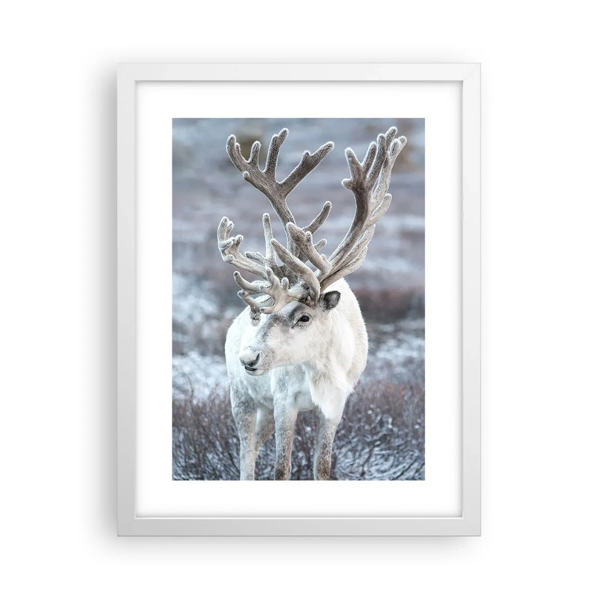 Affiche dans un cadre blanc - Poster - Portrait au soleil - 30x40 cm