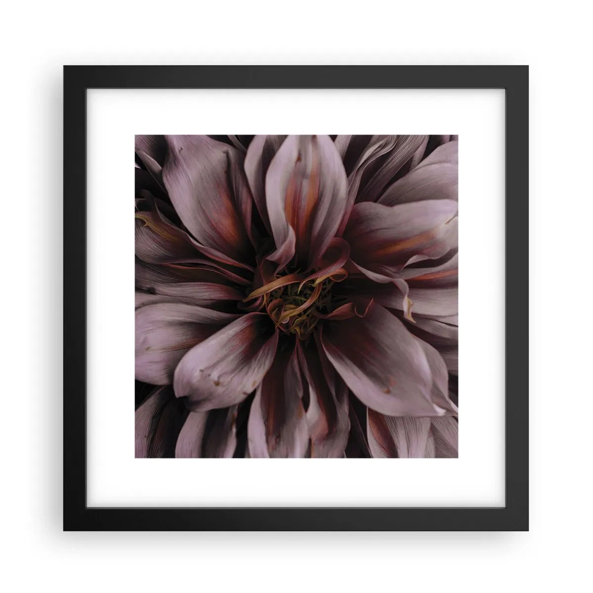 Affiche dans un cadre noir - Poster - Un coeur fleuri - 30x30 cm