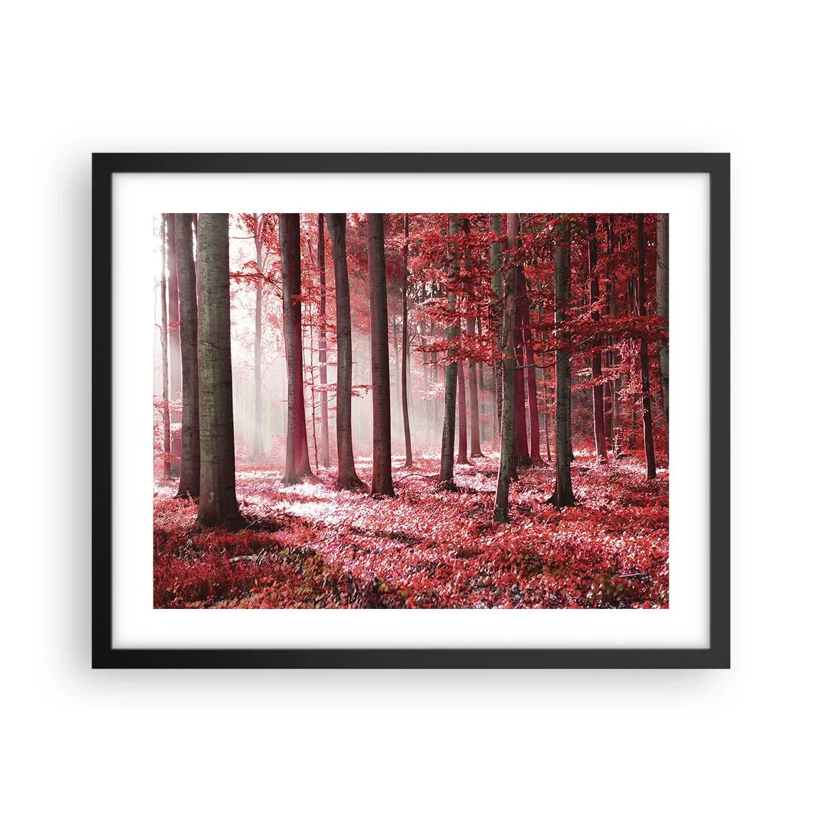 Affiche dans un cadre noir - Poster - Le rouge est tout aussi beau - 50x40 cm