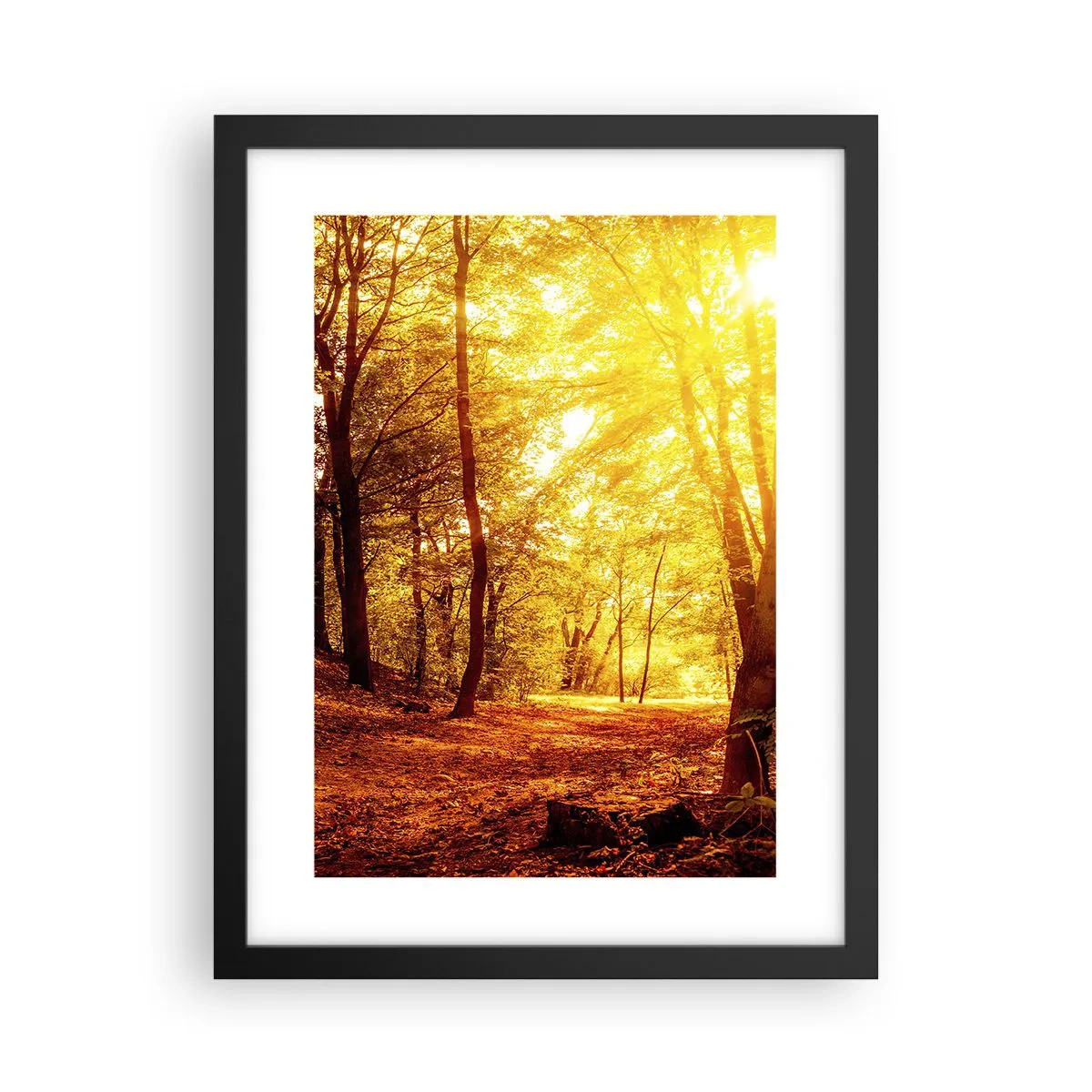 Affiche dans un cadre noir - Poster - Vers la clairière dorée - 30x40 cm