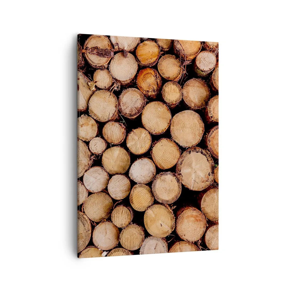 Impression sur toile - Image sur toile - Des tas de troncs d'arbres abattus disposés en harmonie - 50x70cm - Nouveau commencement - Décoration murale moderne pour le salon et la chambre ARTTOR