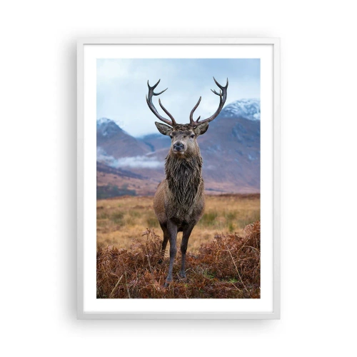 Affiche dans un cadre blanc - Poster - Sur son propre terrain - 50x70 cm
