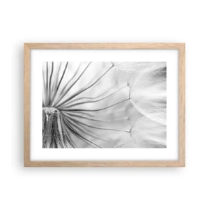 Affiche dans un chêne clair - Poster - Aigrette avant son envol - 40x30 cm