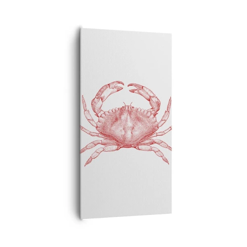Impression sur toile - Image sur toile - Le crabe des crabes - 65x120 cm