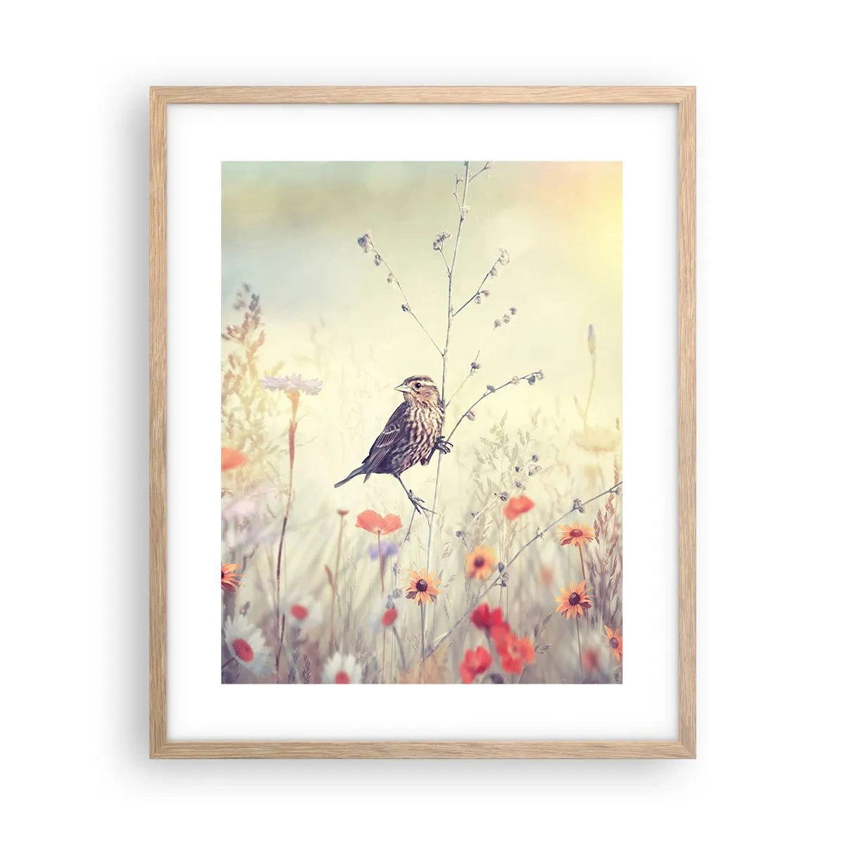 Affiche dans un chêne clair - Poster - Portrait d'oiseau sur pré en fond - 40x50 cm