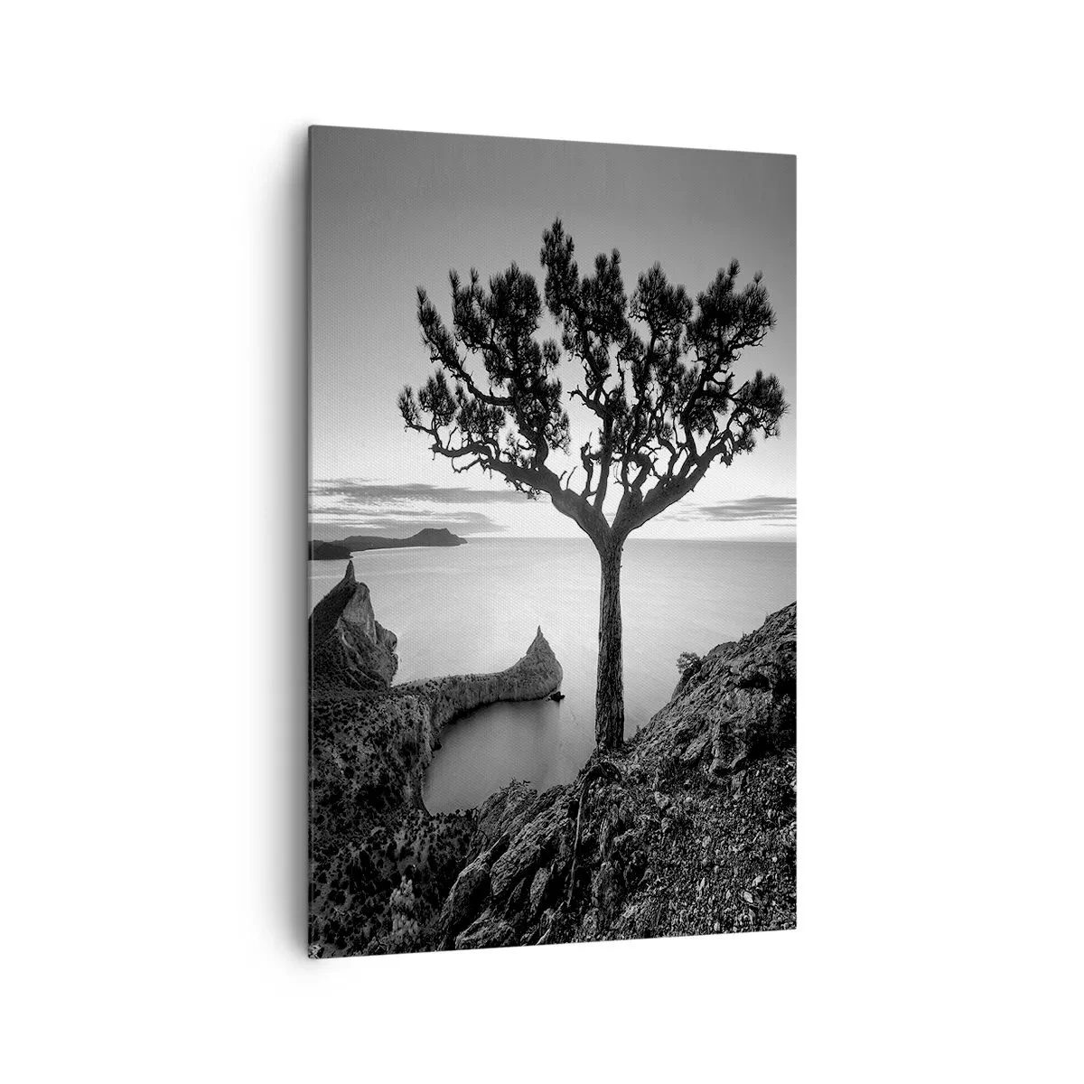 Impression sur toile - Image sur toile - Paysage noir et blanc avec un arbre solitaire sur une falaise au-dessus de la mer - 80x120cm - Paix jusqu'à l'horizon - Décoration murale moderne pour le salon et la chambre ARTTOR