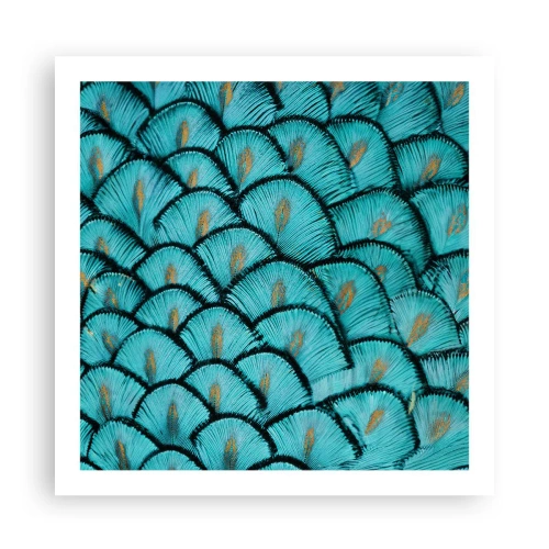 Affiche - Poster - Le grand gala des plumes - 60x60 cm