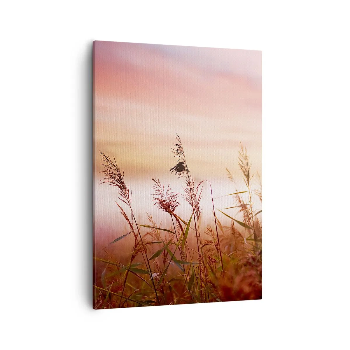 Impression sur toile - Image sur toile - Un champ d'herbe sur fond de coucher de soleil pittoresque - 50x70cm - Cerfs-volants, pissenlits, vent - Décoration murale moderne pour le salon et la chambre ARTTOR