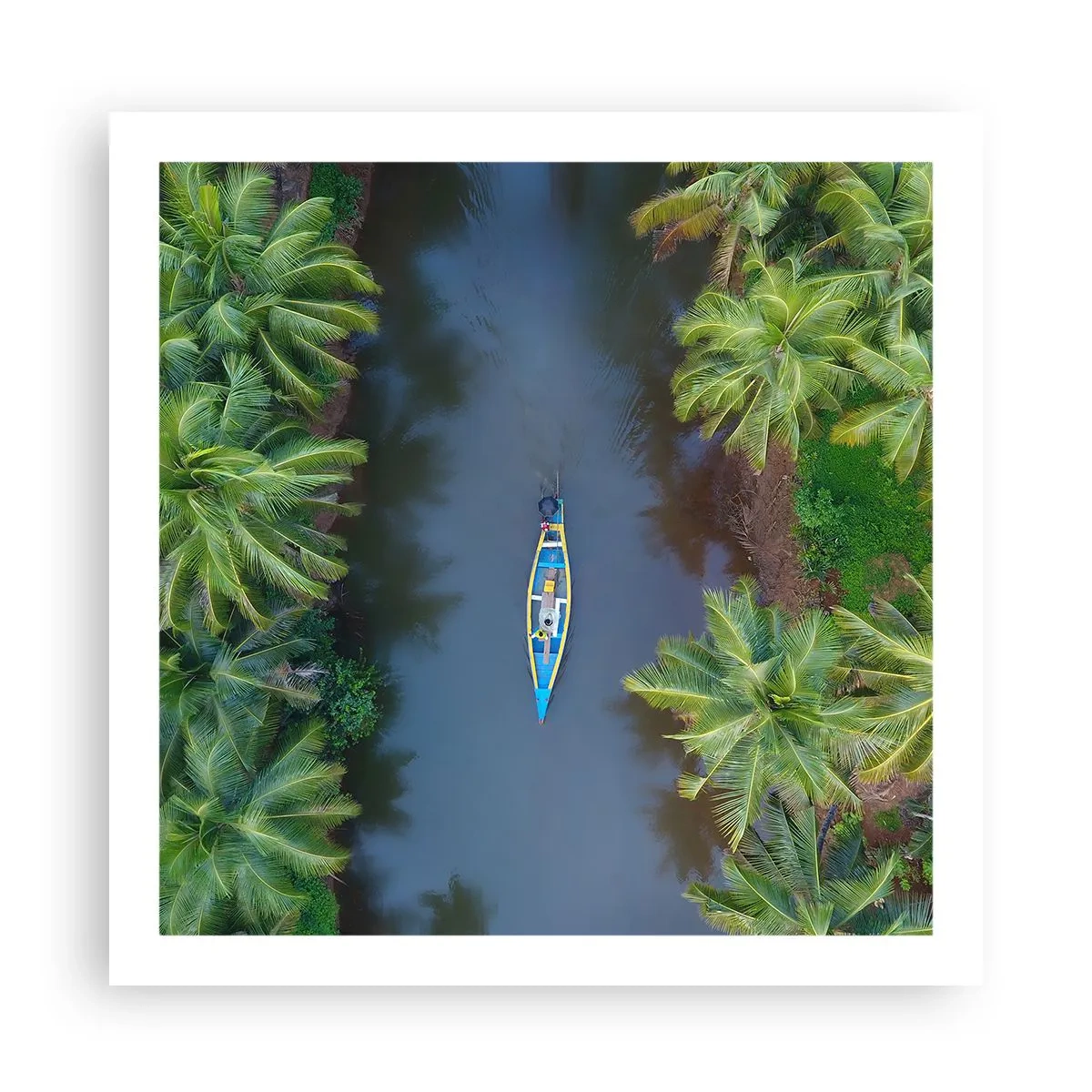 Affiche - Poster - Sur un sentier tropical - 60x60 cm