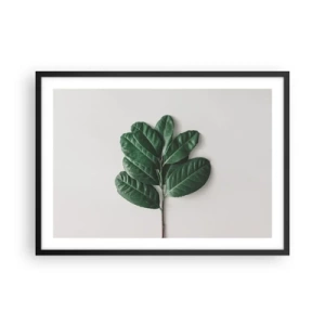 Affiche dans un cadre noir - Poster - Un brin de feuilles vertes sur un fond clair - 70x50cm - Dessin de la nature elle-même - Décoration murale moderne pour le salon et la chambre ARTTOR