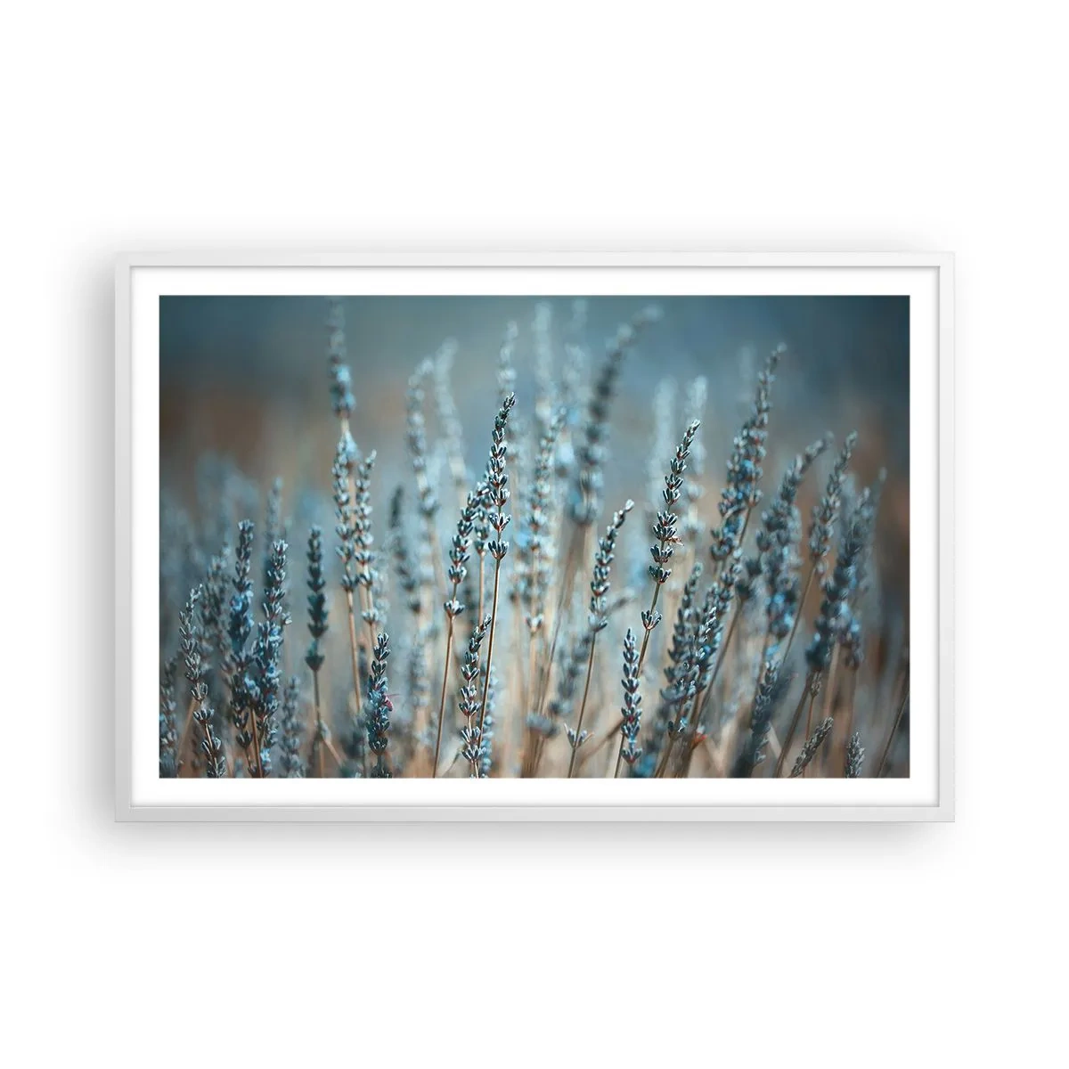 Affiche dans un cadre blanc - Poster - Tige odorante - 91x61 cm