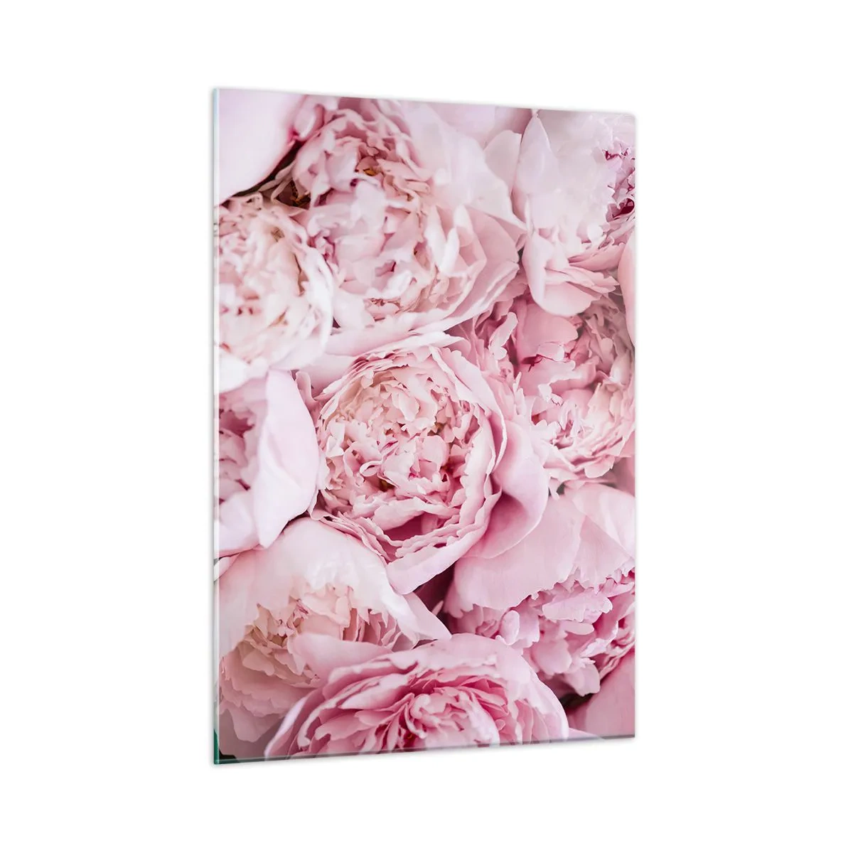 Impression sur verre - Image sur verre - Gros plan d'un bouquet de pivoines rose clair - 50x70cm - Caliné et parfumé - Décoration murale moderne pour le salon et la chambre ARTTOR