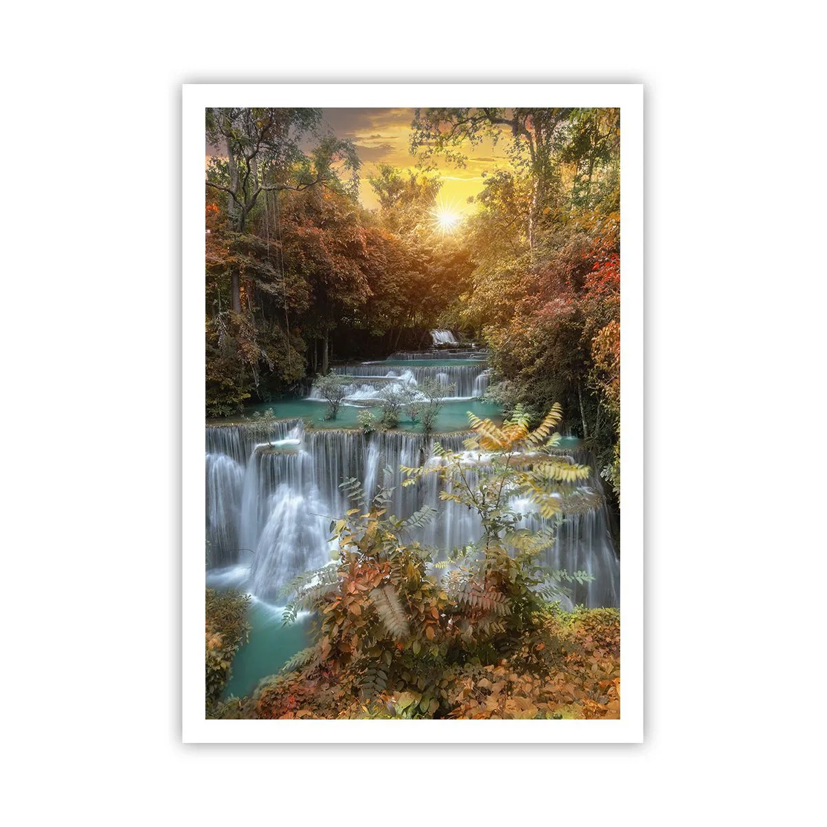 Affiche - Poster - Trésor caché de la forêt - 70x100 cm