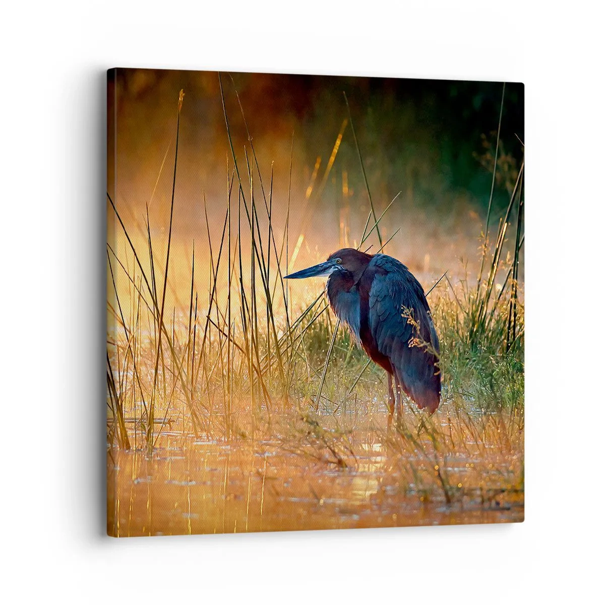 Impression sur toile - Image sur toile - Allez, laissez-moi en paix avec ces photos - 30x30 cm