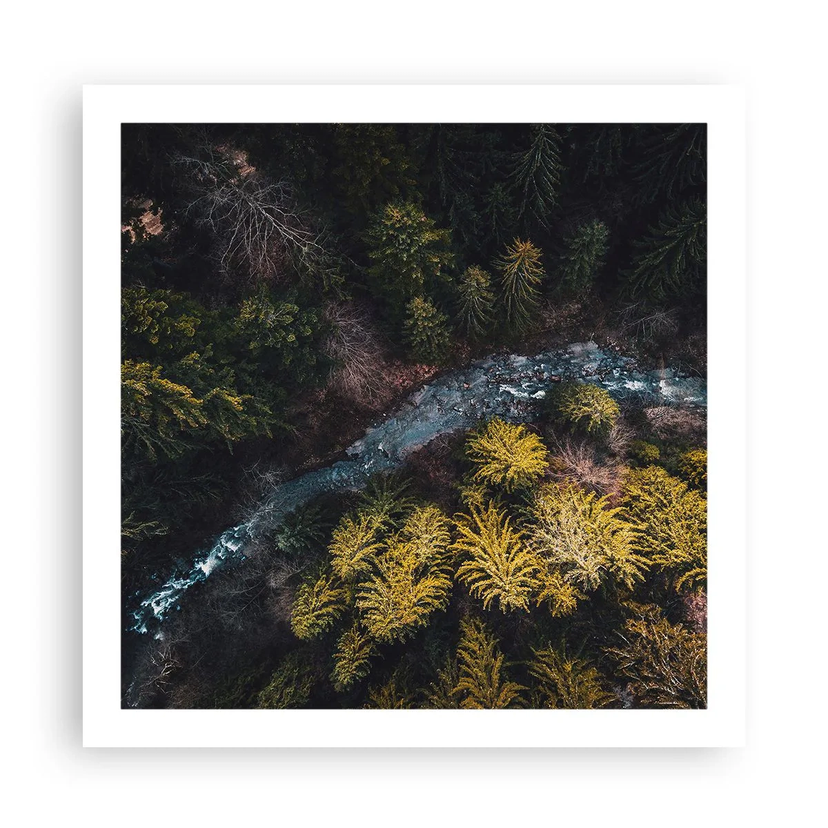 Affiche - Poster - De plus en plus vite - 60x60 cm