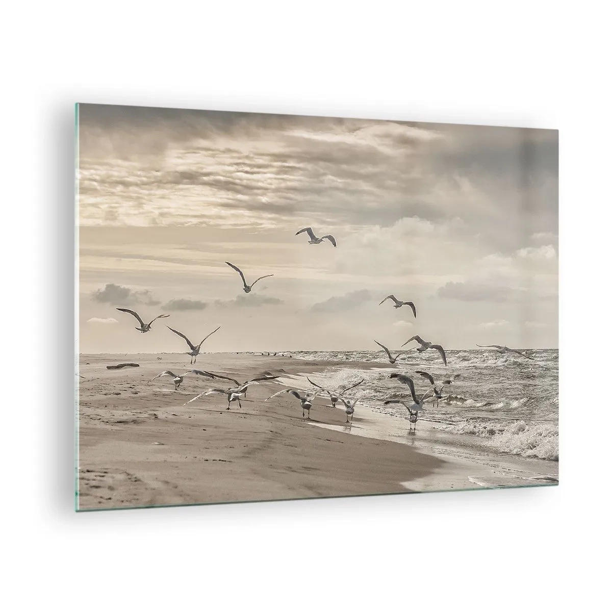 Impression sur verre - Image sur verre - Oiseaux sur le bord de mer à l'aube dans des tons sépia - 70x50cm - Le bruit de la mer, le chant des oiseaux - Décoration murale moderne pour le salon et la chambre ARTTOR