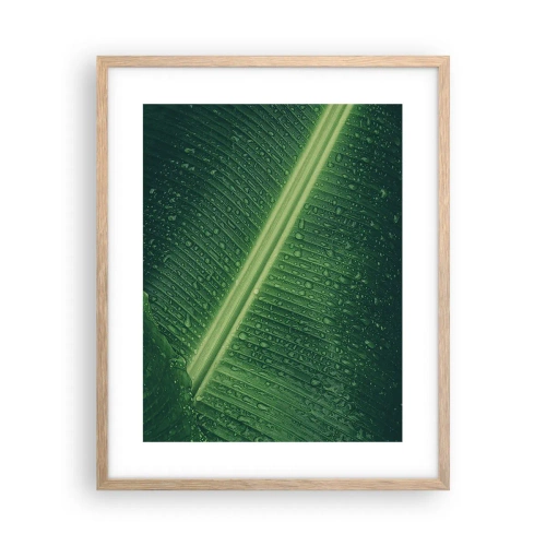 Affiche dans un chêne clair - Poster - Structure de vert - 40x50 cm