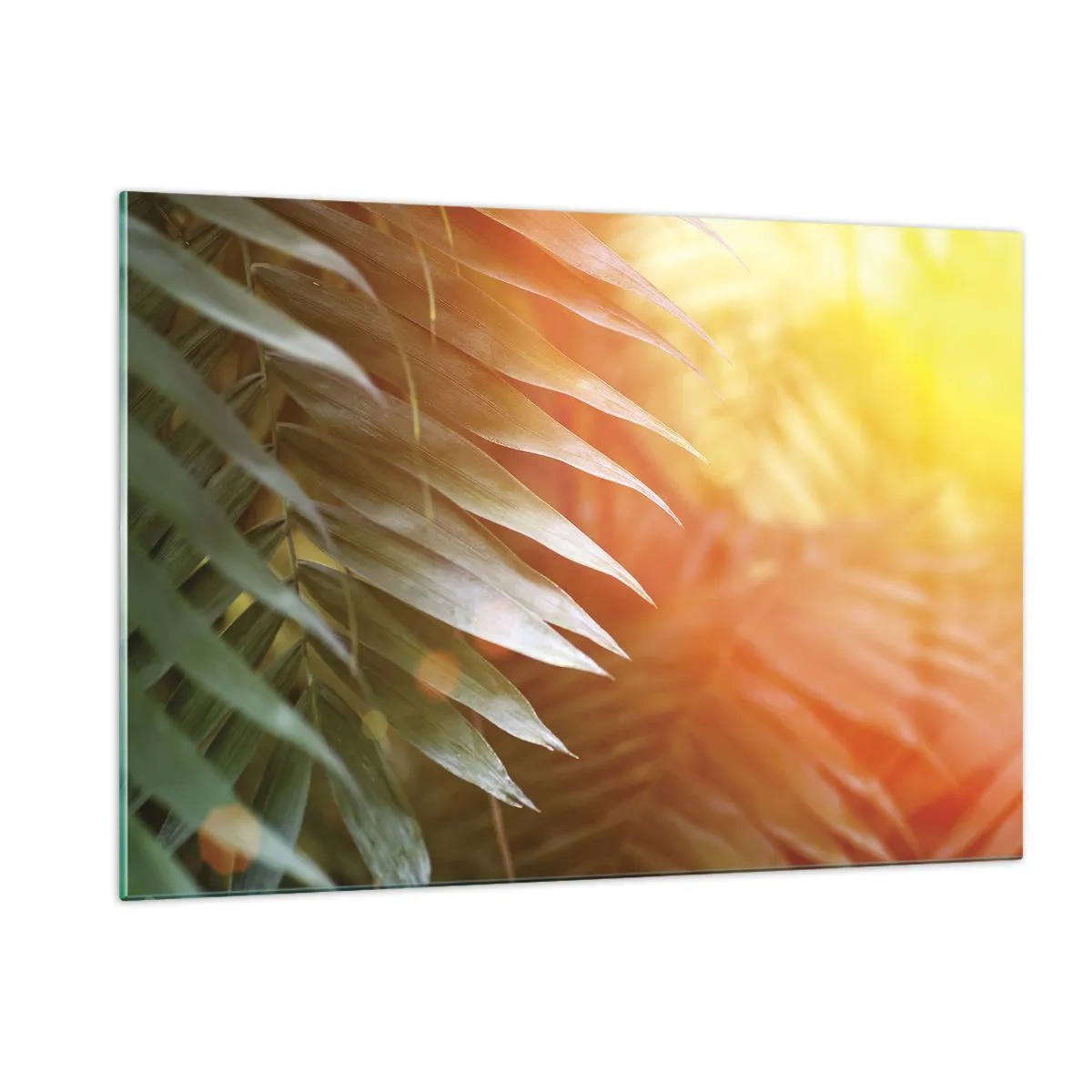 Impression sur verre - Image sur verre - Feuilles de palmier à la lueur du soleil du matin dans un cadre tropical - 120x80cm - Matinée dans la jungle - Décoration murale moderne pour le salon et la chambre ARTTOR